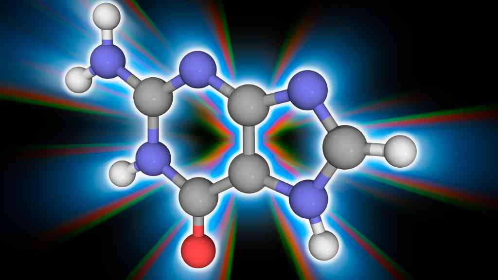 adn y arn molecular