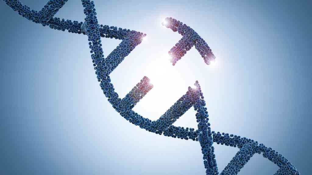 mutación y variación genética