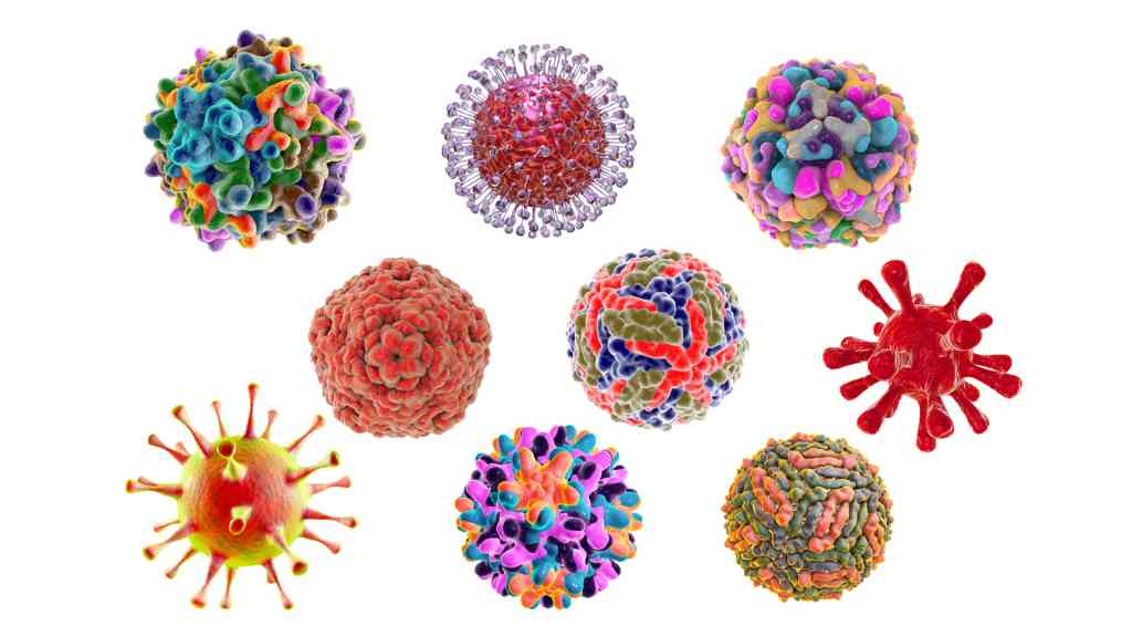 virus y bacterias patogenos